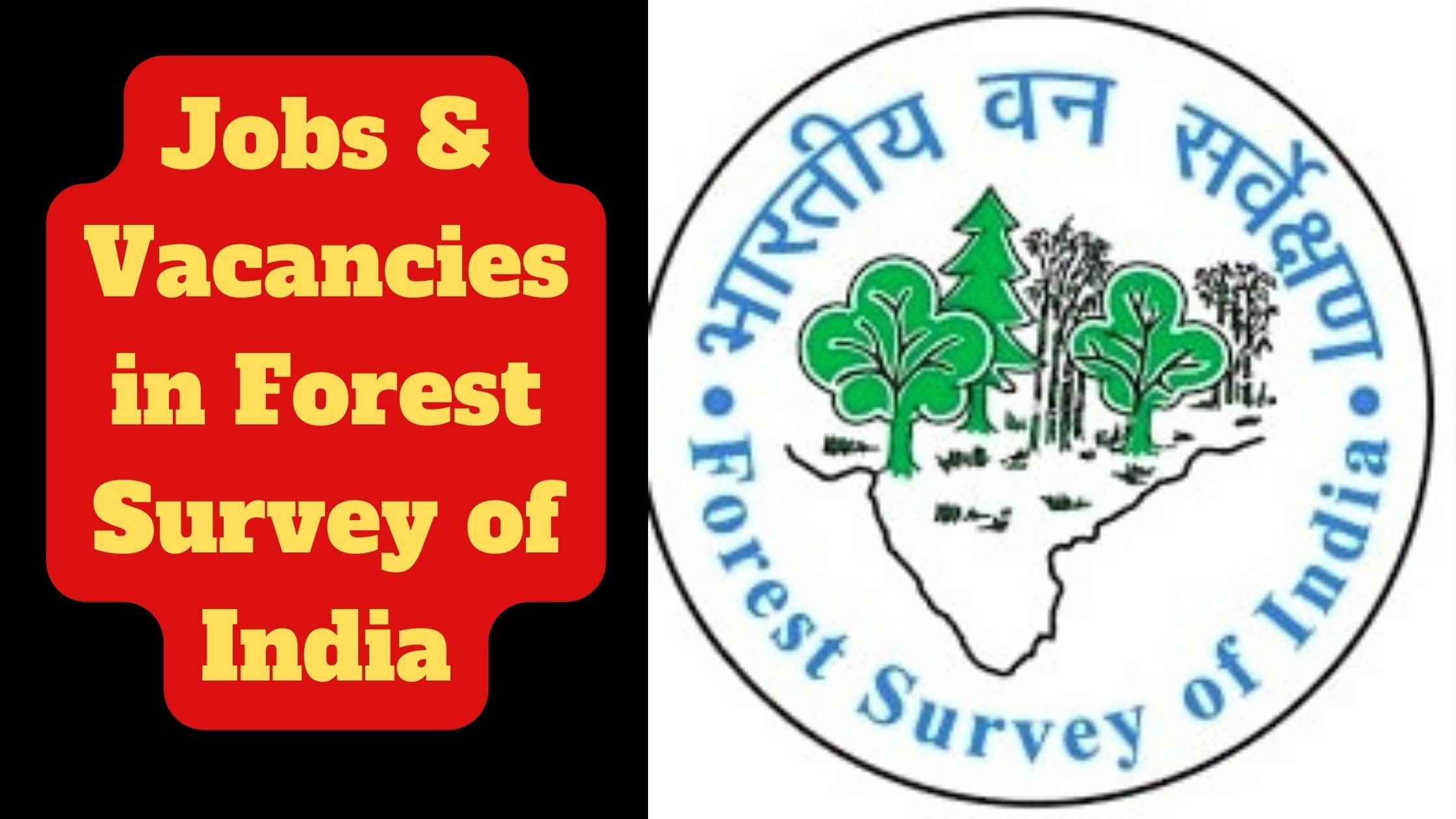 forest survey of India