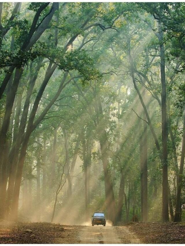 Jim Corbett park cover page