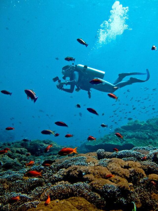 10 Places for Scuba Diving in India