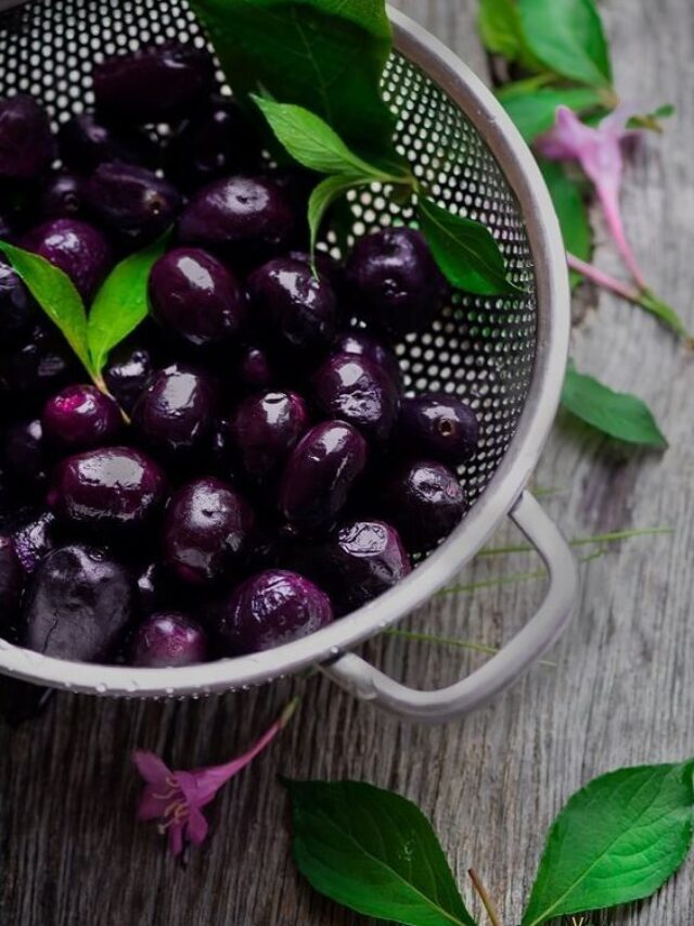 Jamun fruit cover page